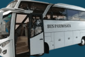 Medium bus pariwisata merupakan sebuah alat transportasi yang sangat penting dalam mendukung kegiatan pariwisata di berbagai daerah. Kendaraan ini dirancang khusus untuk mengangkut penumpang dalam jumlah menengah, umumnya antara 20 hingga 35 orang.