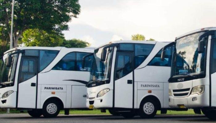 Salah satu keuntungan utama menggunakan medium bus pariwisata adalah kenyamanan yang ditawarkan selama perjalanan. Medium bus dirancang dengan fasilitas yang mendukung kenyamanan penumpang, seperti kursi yang empuk dan ruang gerak yang cukup.