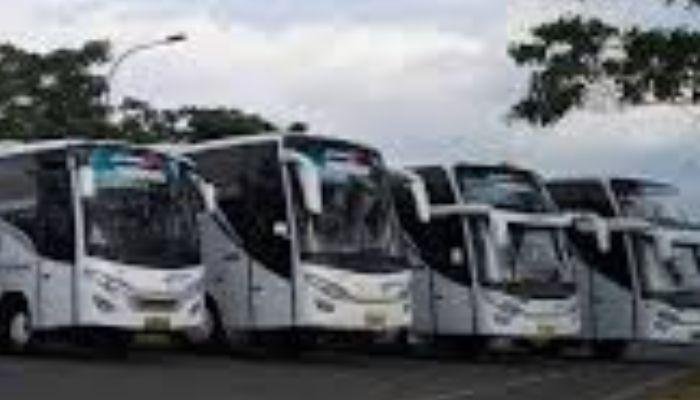 Medium bus pariwisata menawarkan kapasitas penumpang yang ideal untuk kelompok menengah, dengan kemampuan menampung antara 25 hingga 35 orang. Hal ini membuat medium bus menjadi pilihan yang sangat tepat bagi rombongan yang ingin bepergian bersama, baik untuk perjalanan wisata maupun acara tertentu.